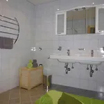 Apartment Hannes Steirer *