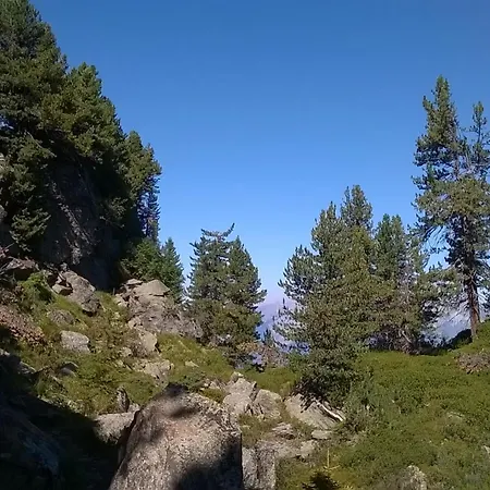 Apartament Hannes Steirer Neustift im Stubaital