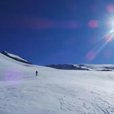 Apartment Hannes Steirer *