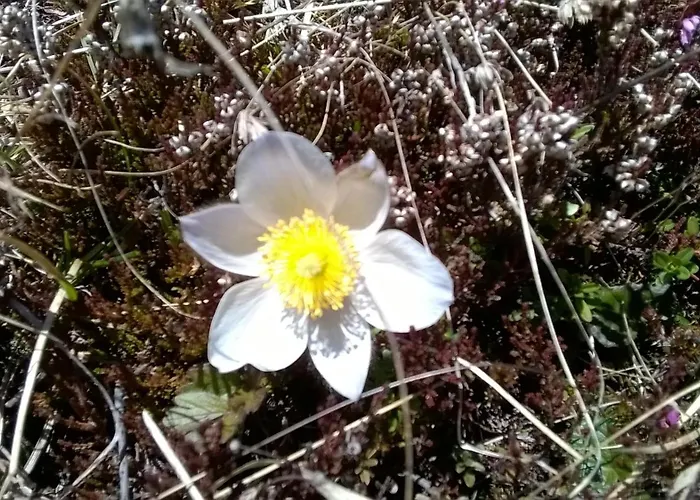 דירה Hannes Steirer